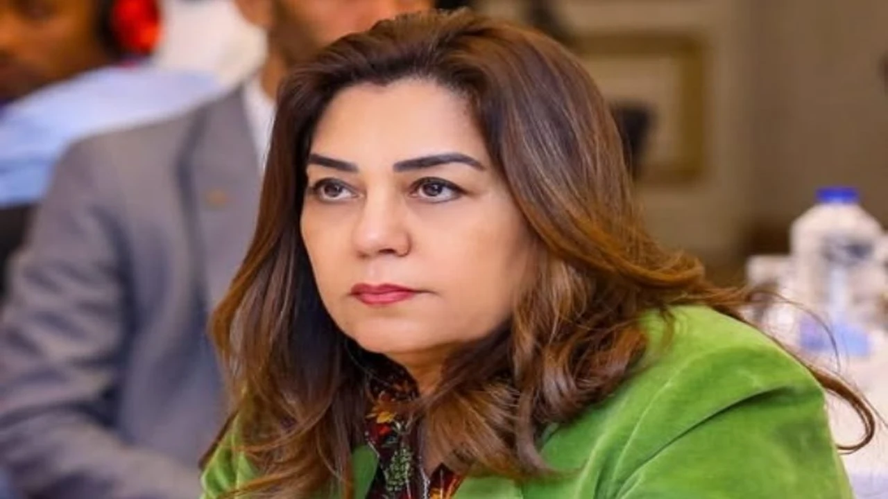 وزيرة التنمية المحلية تبحث مع اتحاد بنوك مصر آليات تعزيز الاستدامة التنموية